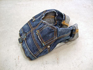 DogDenim2.jpg